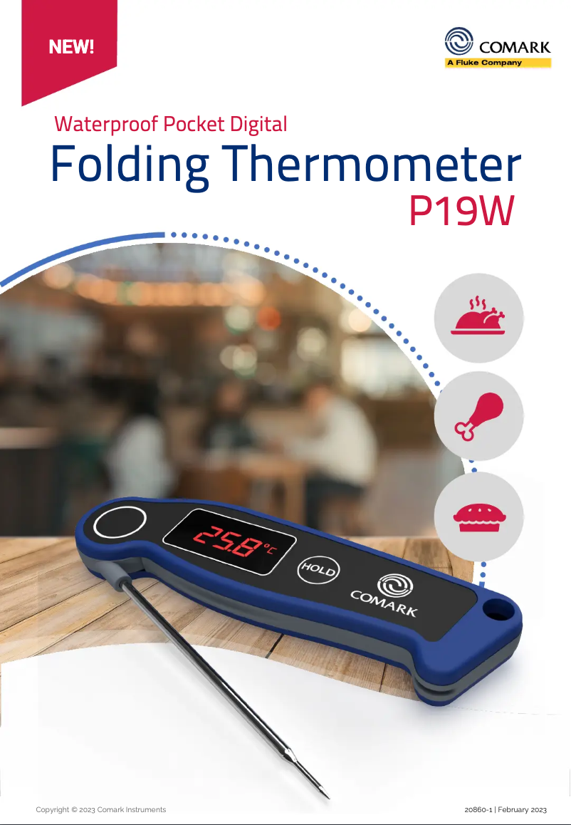 Imagen de la primera página del manual del dispositivo P19W