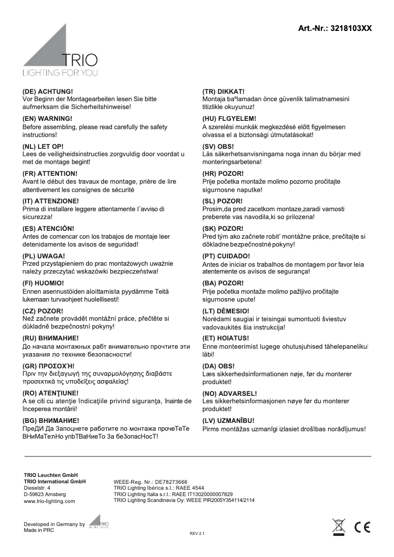 Página nº 1 - Manual de usuario Trio Lighting Compton 321810342