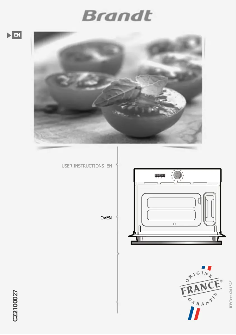 Imagen de la primera página del manual del dispositivo BKV7132LX