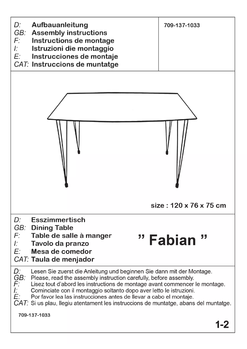 Imagen de la primera página del manual del dispositivo Fabian