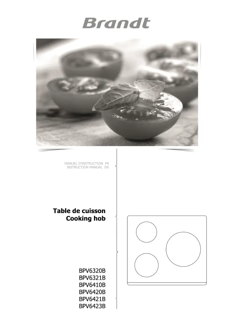 Página 1 del manual Manual de usuario Brandt BPV6423B