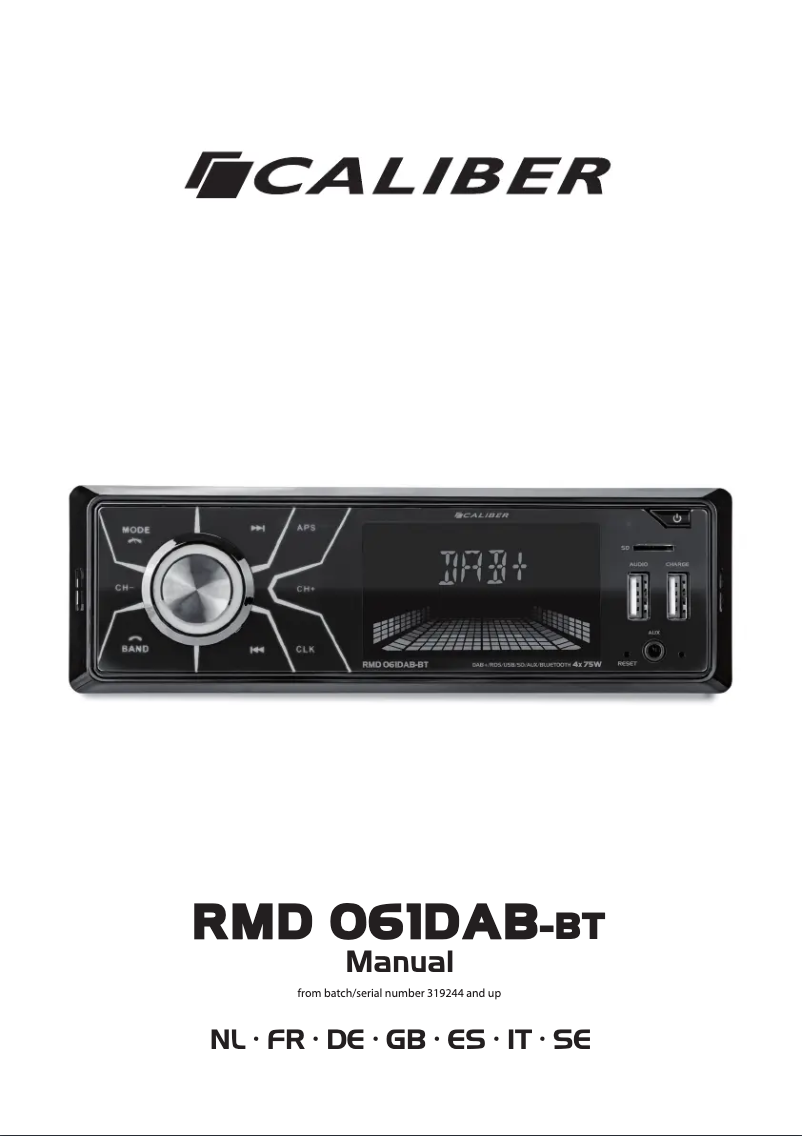 Imagen de la primera página del manual del dispositivo RMD 061DAB-BT
