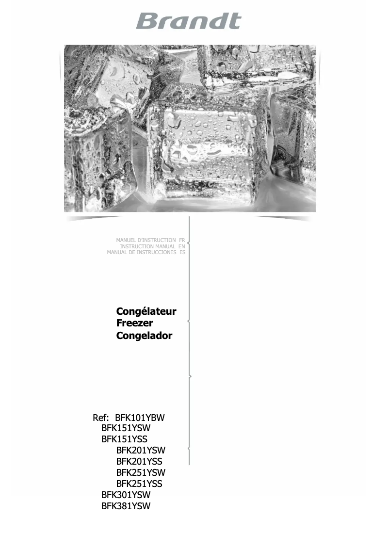 Imagen de la primera página del manual del dispositivo BFK201YSW