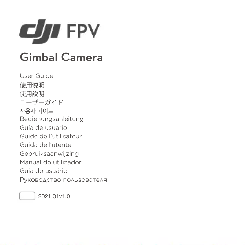 Imagen de la primera página del manual del dispositivo FPV Gimbal Camera