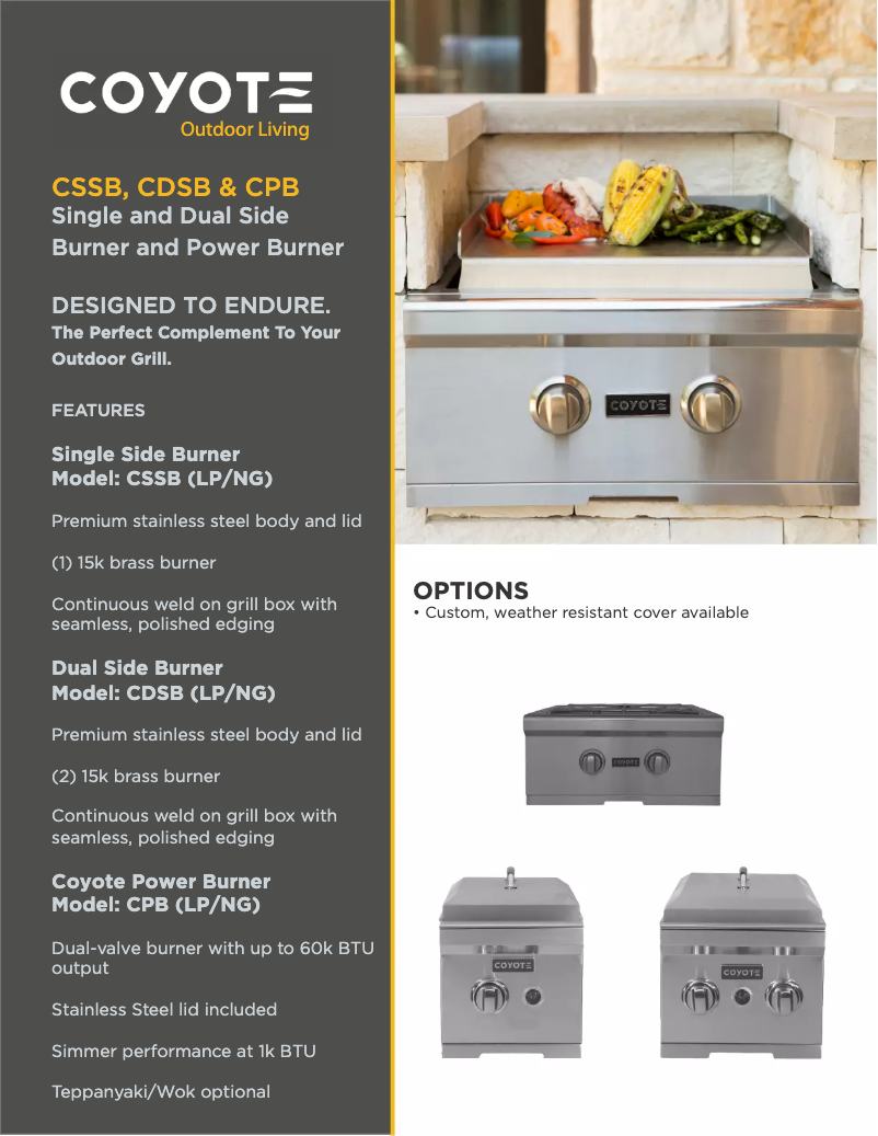 Imagen de la primera página del manual del dispositivo CSSBNG