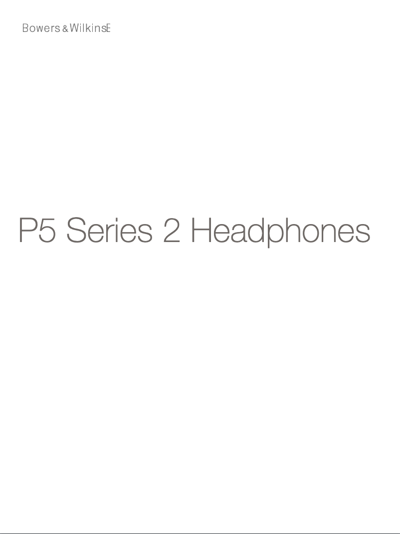 Imagen de la primera página del manual del dispositivo P5 S2