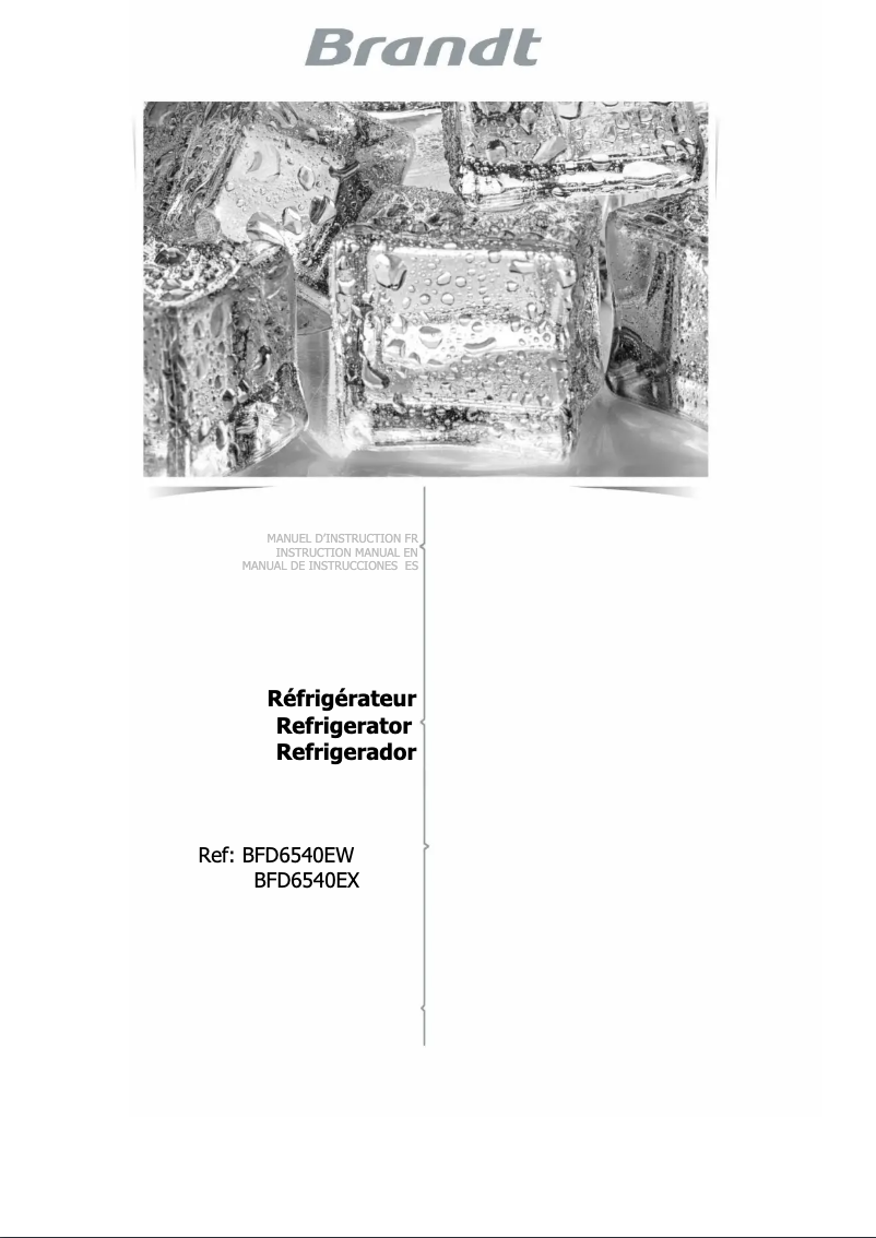 Imagen de la primera página del manual del dispositivo BFD6540EW