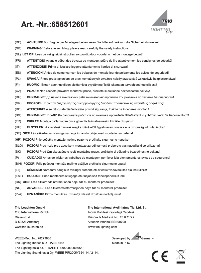 Página 1 del manual Manual de usuario Trio Lighting Concorde 658512601