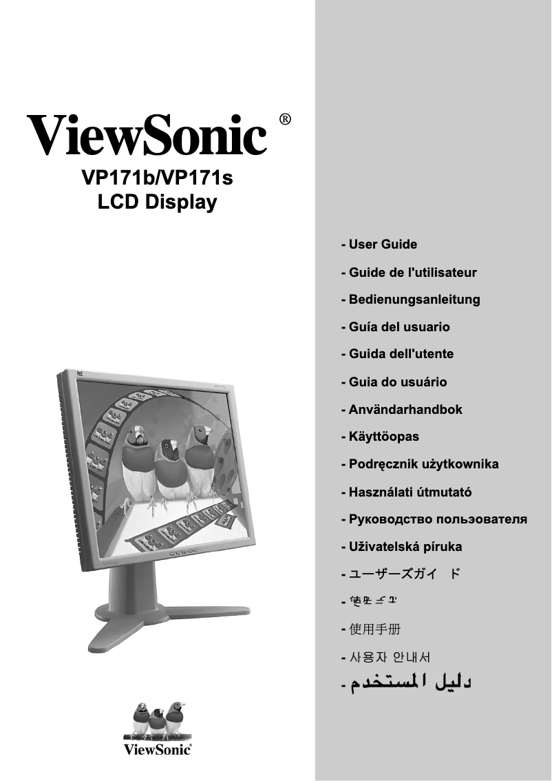 Página 1 del manual Manual de usuario Viewsonic VP171b