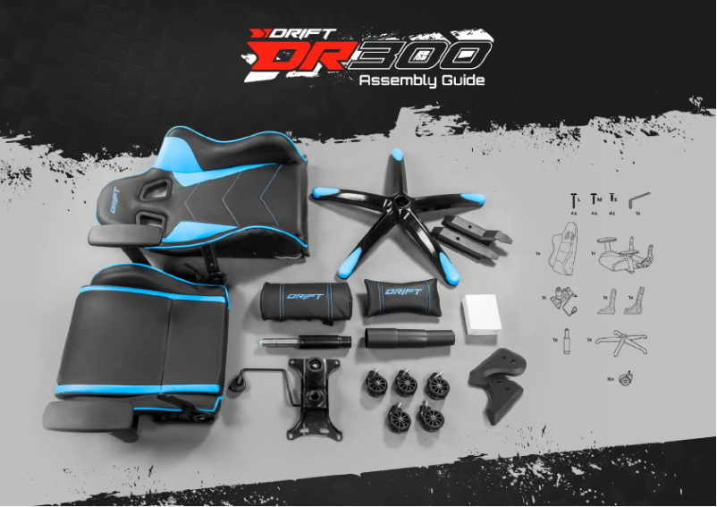 Página nº 1 - Manual de usuario Drift DR300