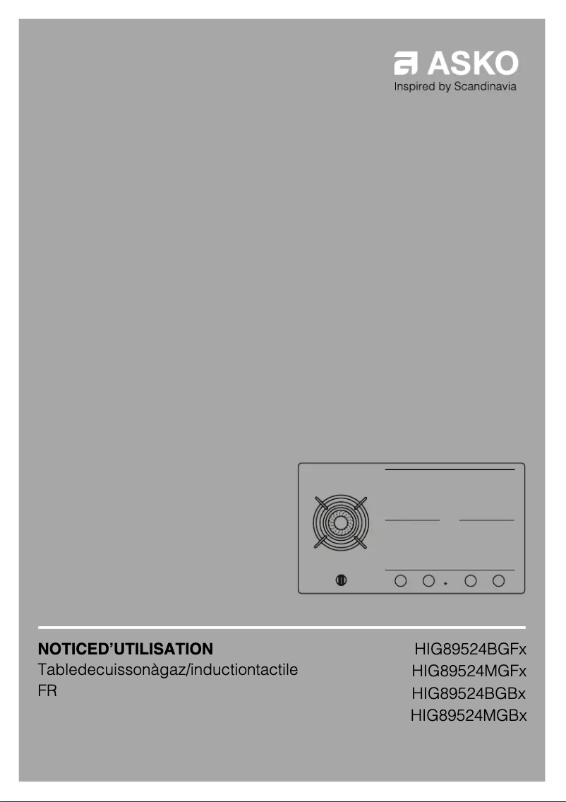 Imagen de la primera página del manual del dispositivo HIG89524BGB1