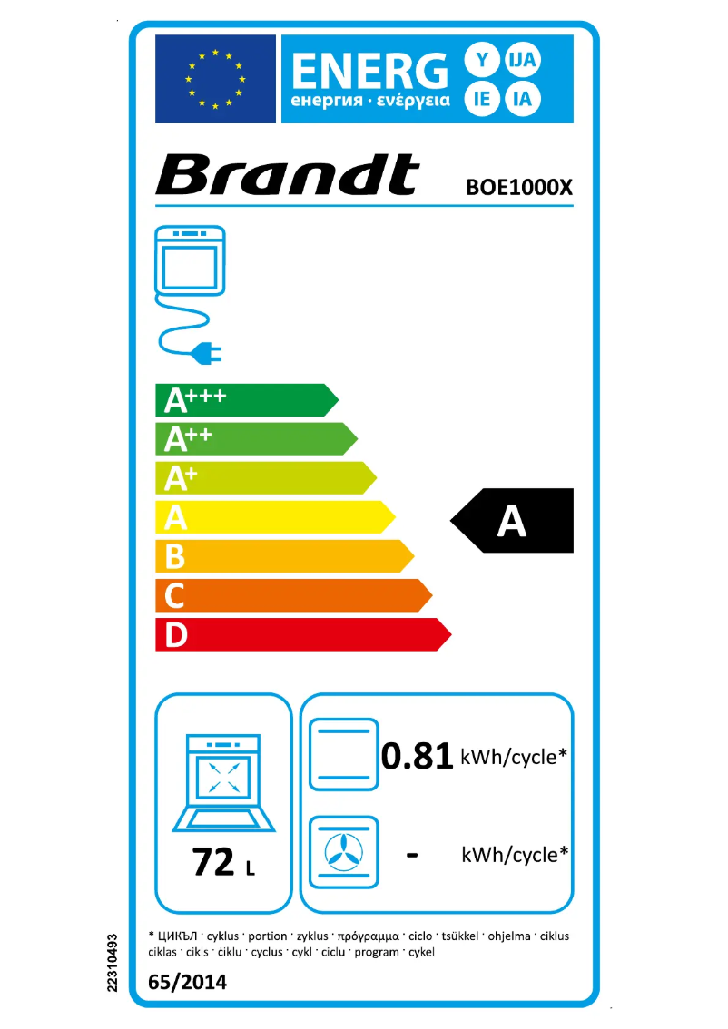 Imagen de la primera página del manual del dispositivo BOE1000X
