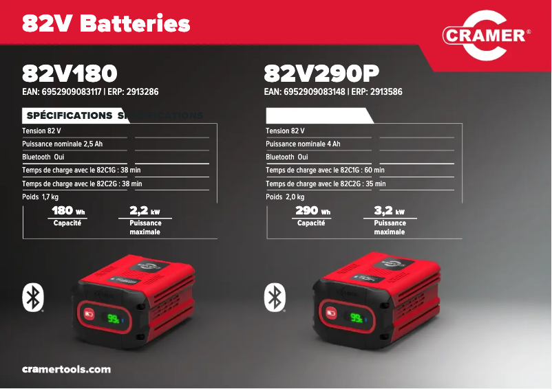 Imagen de la primera página del manual del dispositivo 82V290P