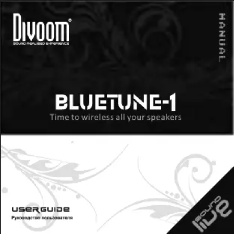 Imagen de la primera página del manual del dispositivo Bluetune 1