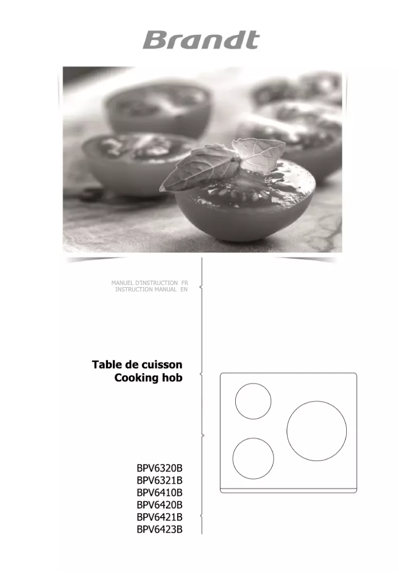 Imagen de la primera página del manual del dispositivo BPV6320B