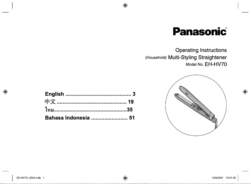 Página nº 1 - Manual de usuario Panasonic EH-HV70