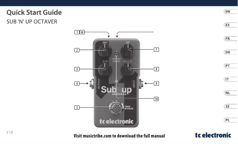 Imagen de la primera página del manual del dispositivo Sub'N'Up Octaver
