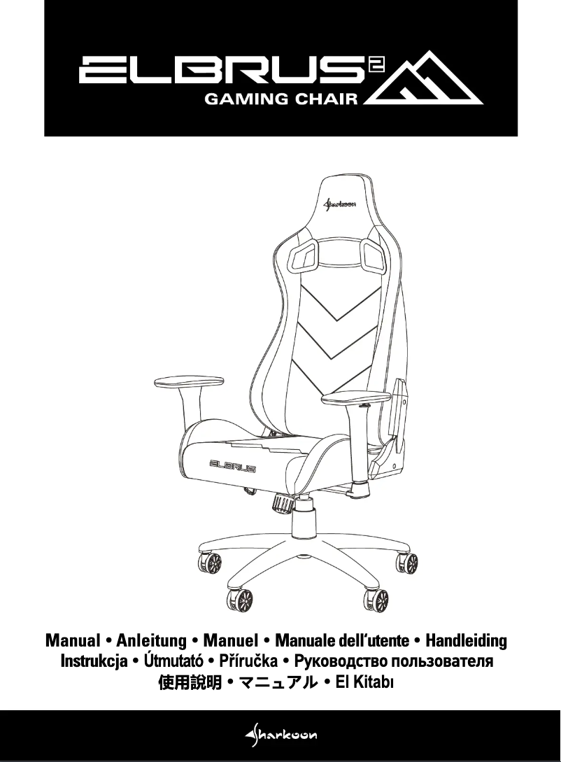 Imagen de la primera página del manual del dispositivo Elbrus 2