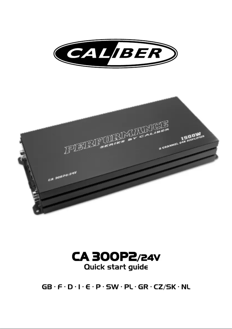 Imagen de la primera página del manual del dispositivo CA300P2/24V