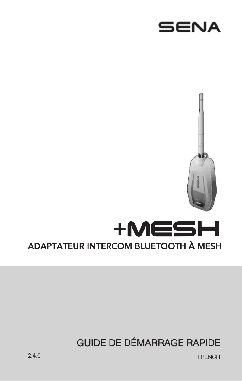 Imagen de la primera página del manual del dispositivo +Mesh