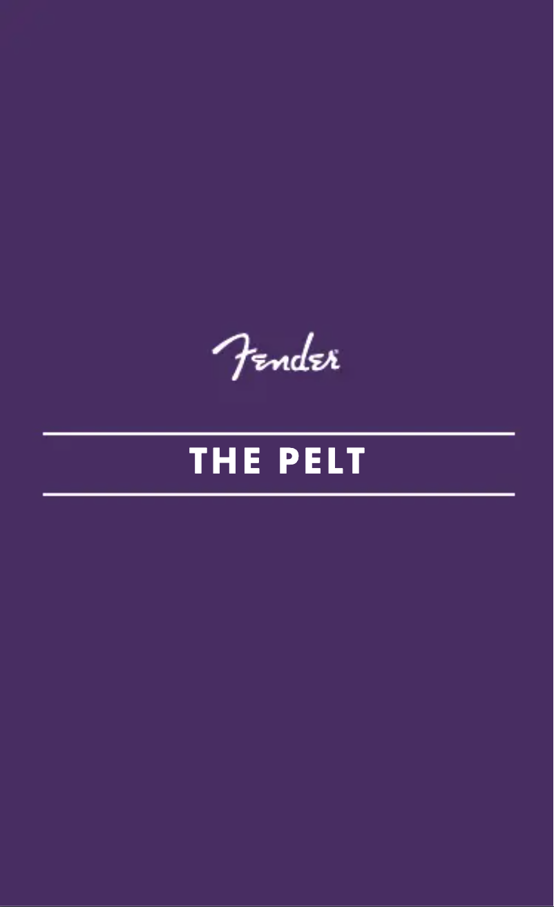 Imagen de la primera página del manual del dispositivo The Pelt Fuzz