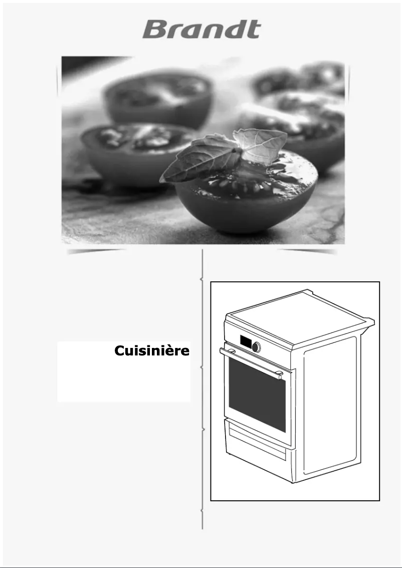 Página 1 del manual Manual de instrucciones Brandt BCI6651W