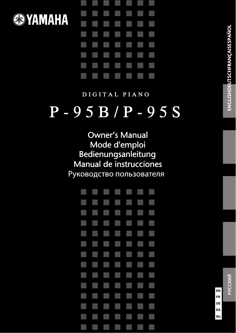 Imagen de la primera página del manual del dispositivo P-95S