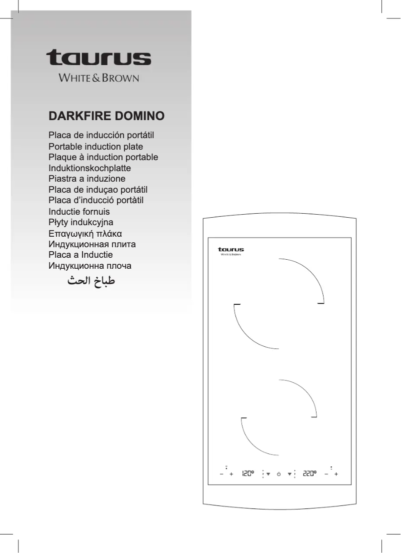Imagen de la primera página del manual del dispositivo Darkfire Domino