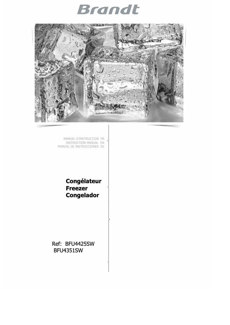 Imagen de la primera página del manual del dispositivo BFU4351SW