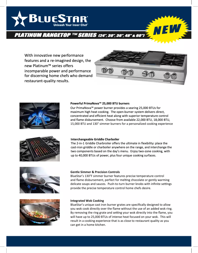 Página 1 del manual Ficha técnica BlueStar BSPRT304B