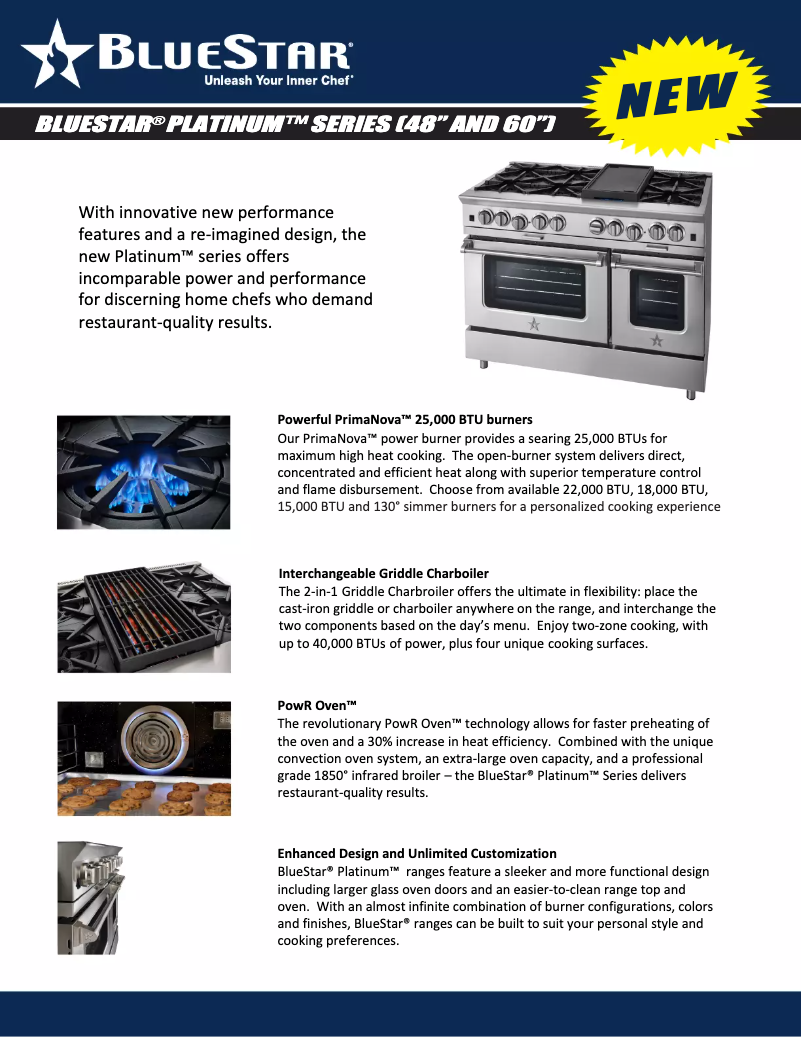 Página 1 del manual Ficha técnica BlueStar BSP6010B