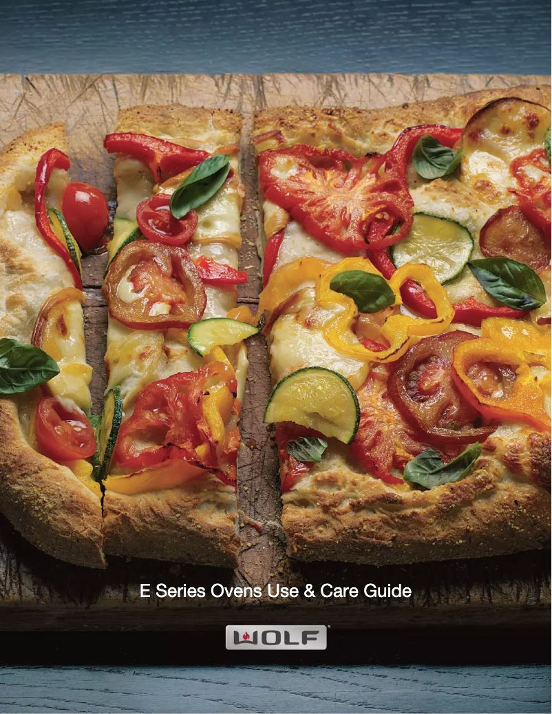 Imagen de la primera página del manual del dispositivo E Series SO30PESPH