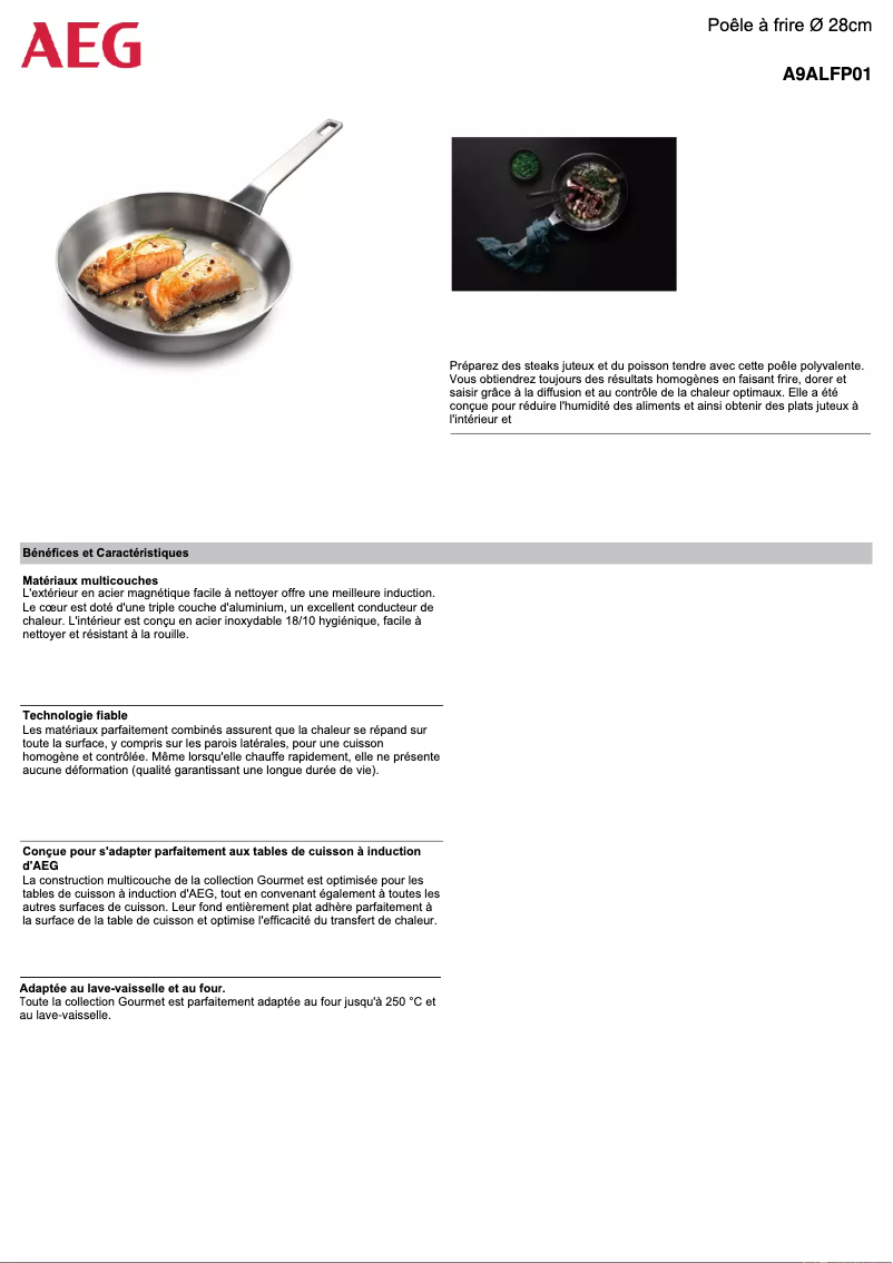 Imagen de la primera página del manual del dispositivo A9ALFP01