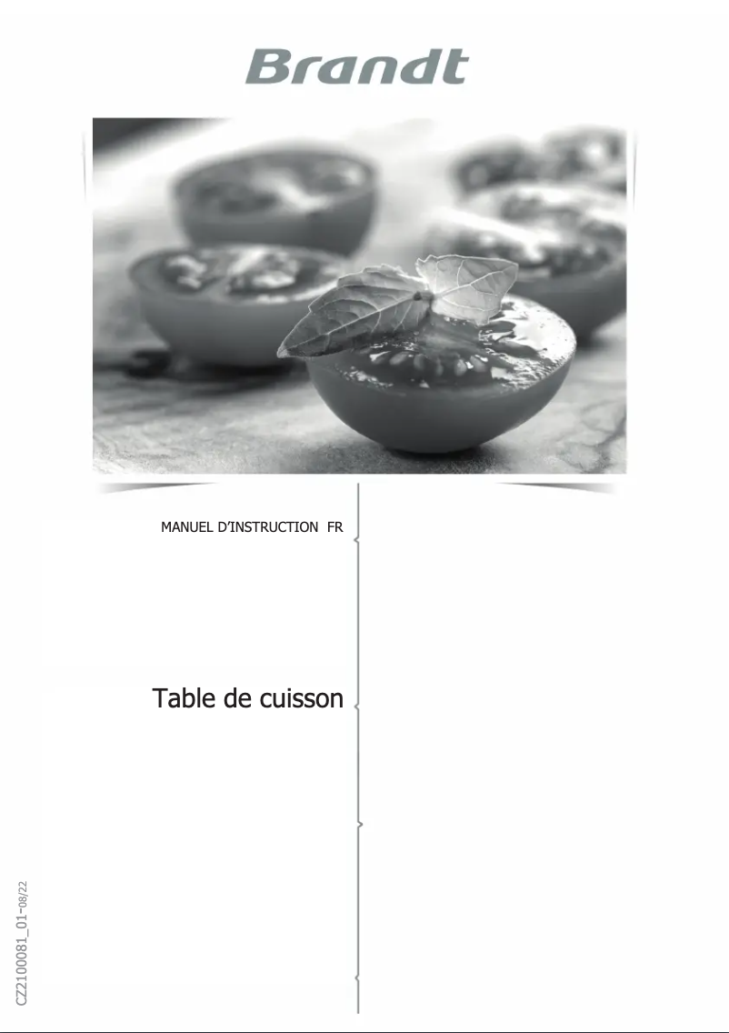 Imagen de la primera página del manual del dispositivo BPI2638KX