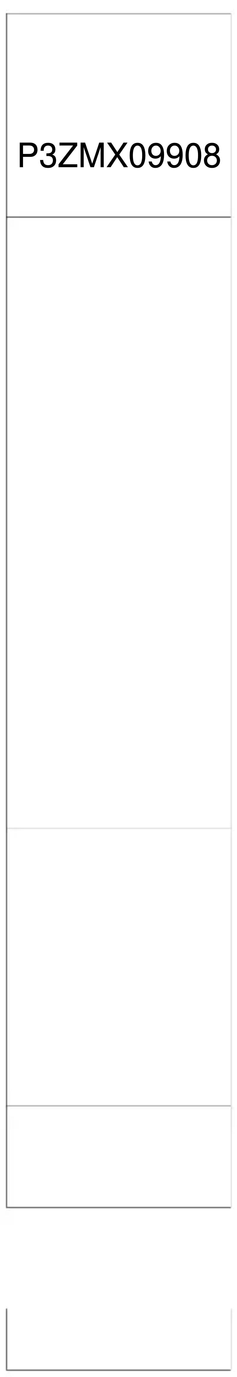 Imagen de la primera página del manual del dispositivo P3ZMX09908