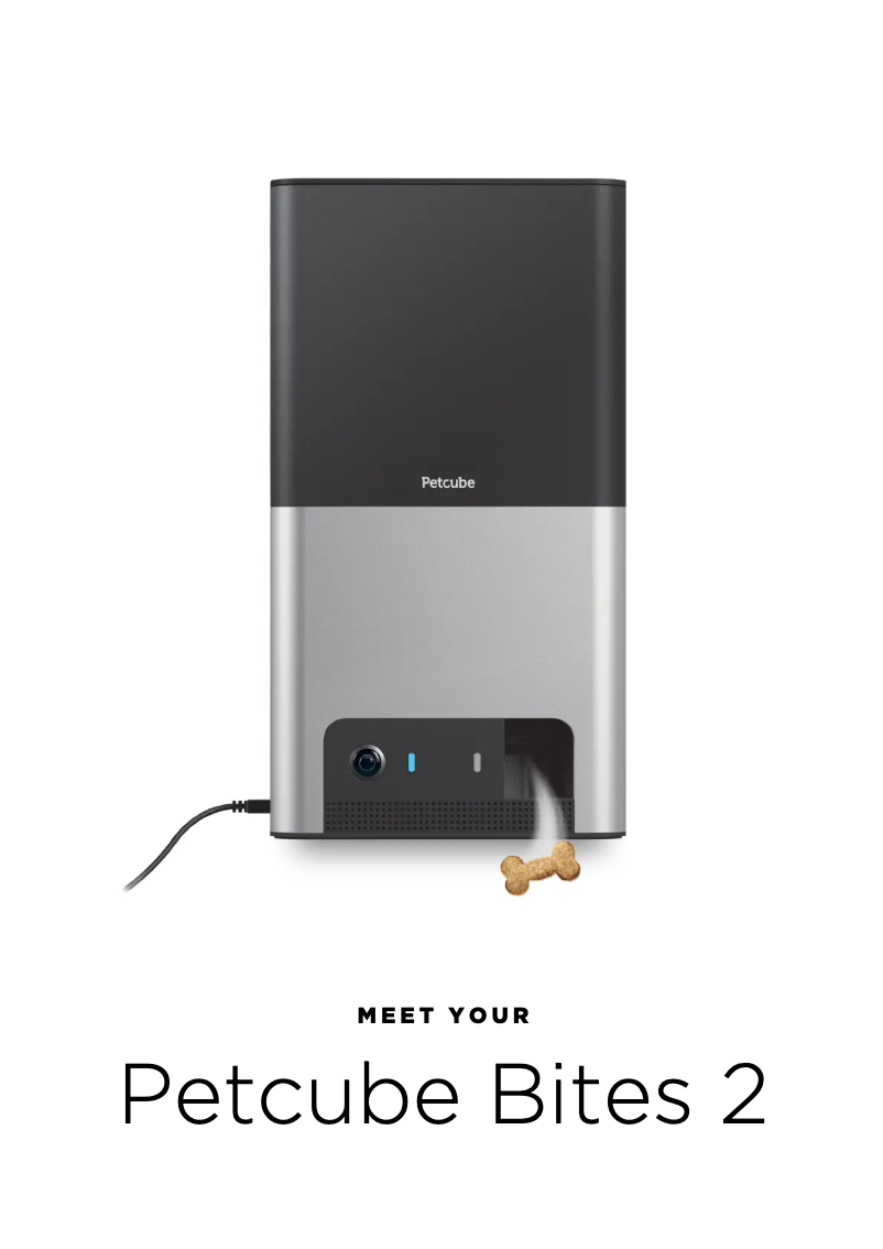 Imagen de la primera página del manual del dispositivo Bites 2 Lite