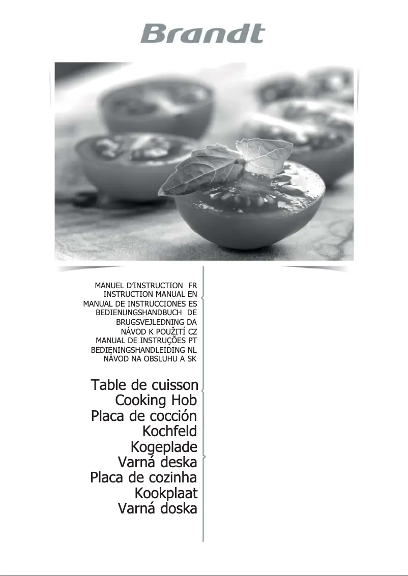 Página 1 del manual Manual de usuario Brandt BPI6230BL