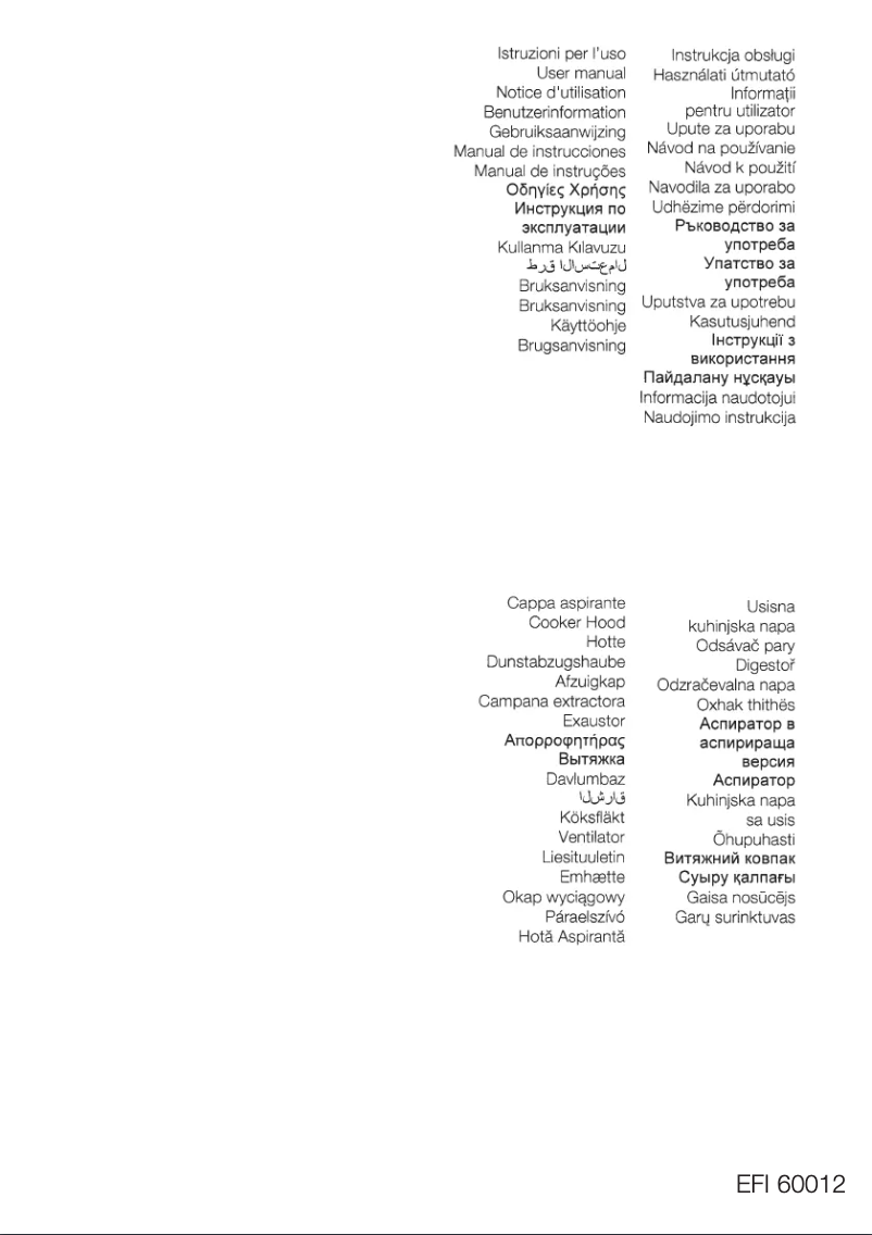 Imagen de la primera página del manual del dispositivo EFI60012S