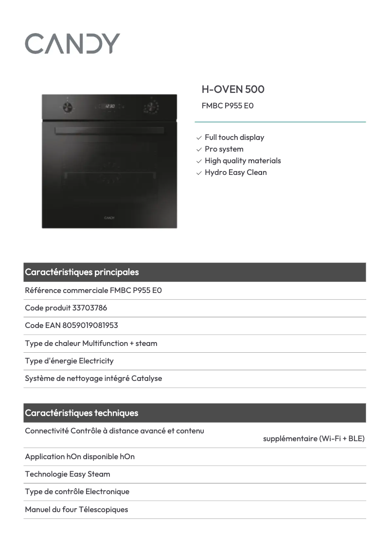 Imagen de la primera página del manual del dispositivo FMBC P955 E0