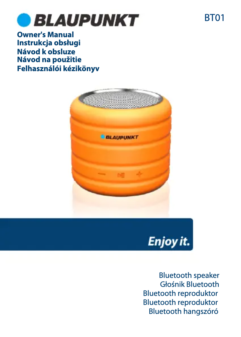 Página 1 del manual Manual de usuario Blaupunkt BT10