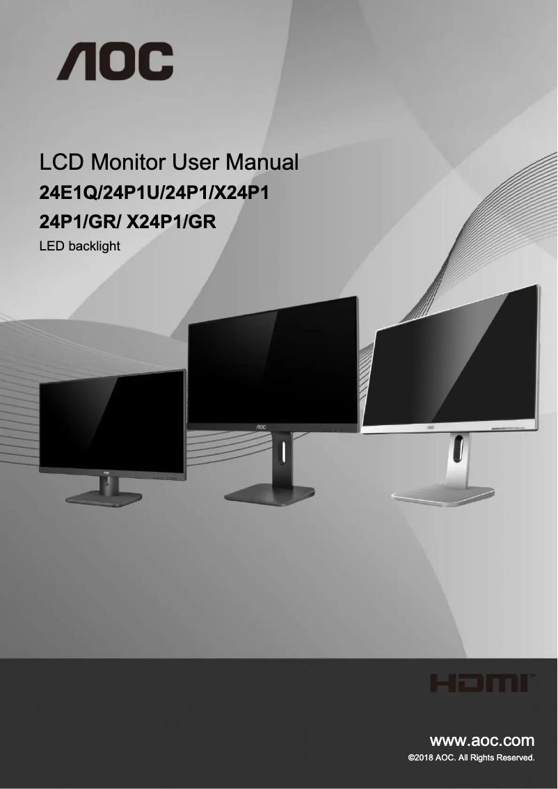 Imagen de la primera página del manual del dispositivo Pro-line X24P1