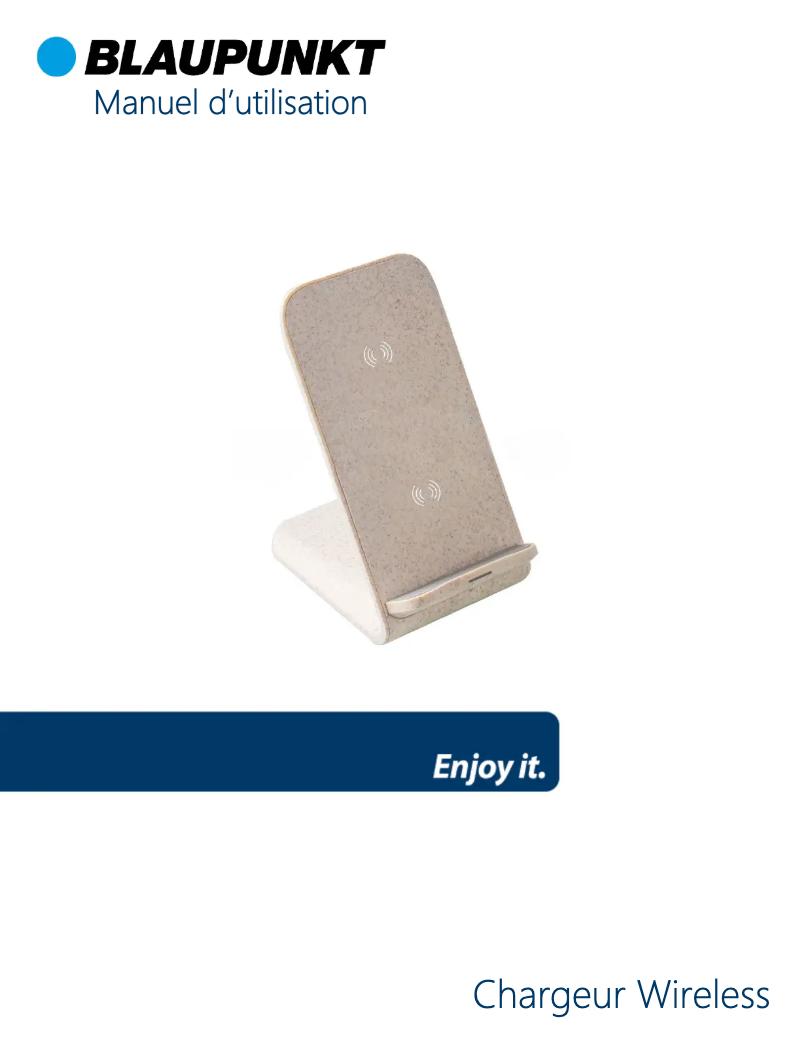 Imagen de la primera página del manual del dispositivo BLP0233