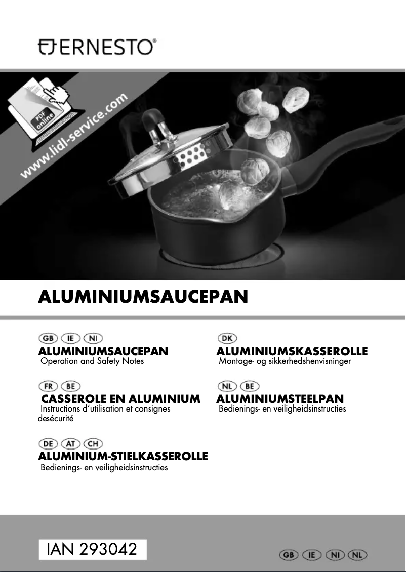 Página 1 del manual Manual de usuario Ernesto IAN 293042