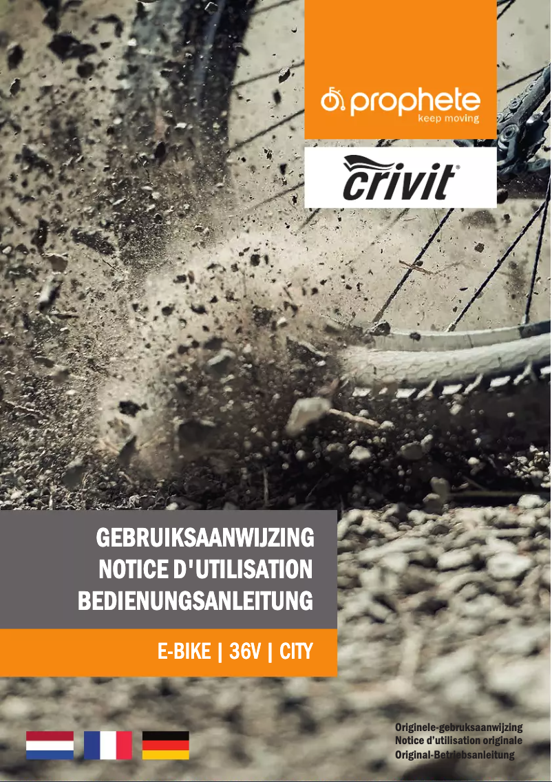 Imagen de la primera página del manual del dispositivo Pedelec City