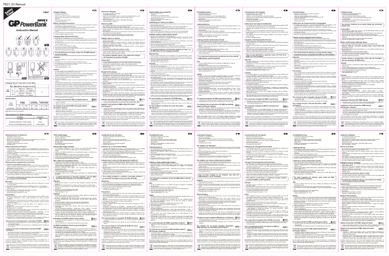 Imagen de la primera página del manual del dispositivo PowerBank 202160