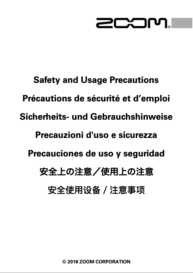 Página 1 del manual Instrucciones de seguridad Zoom G11