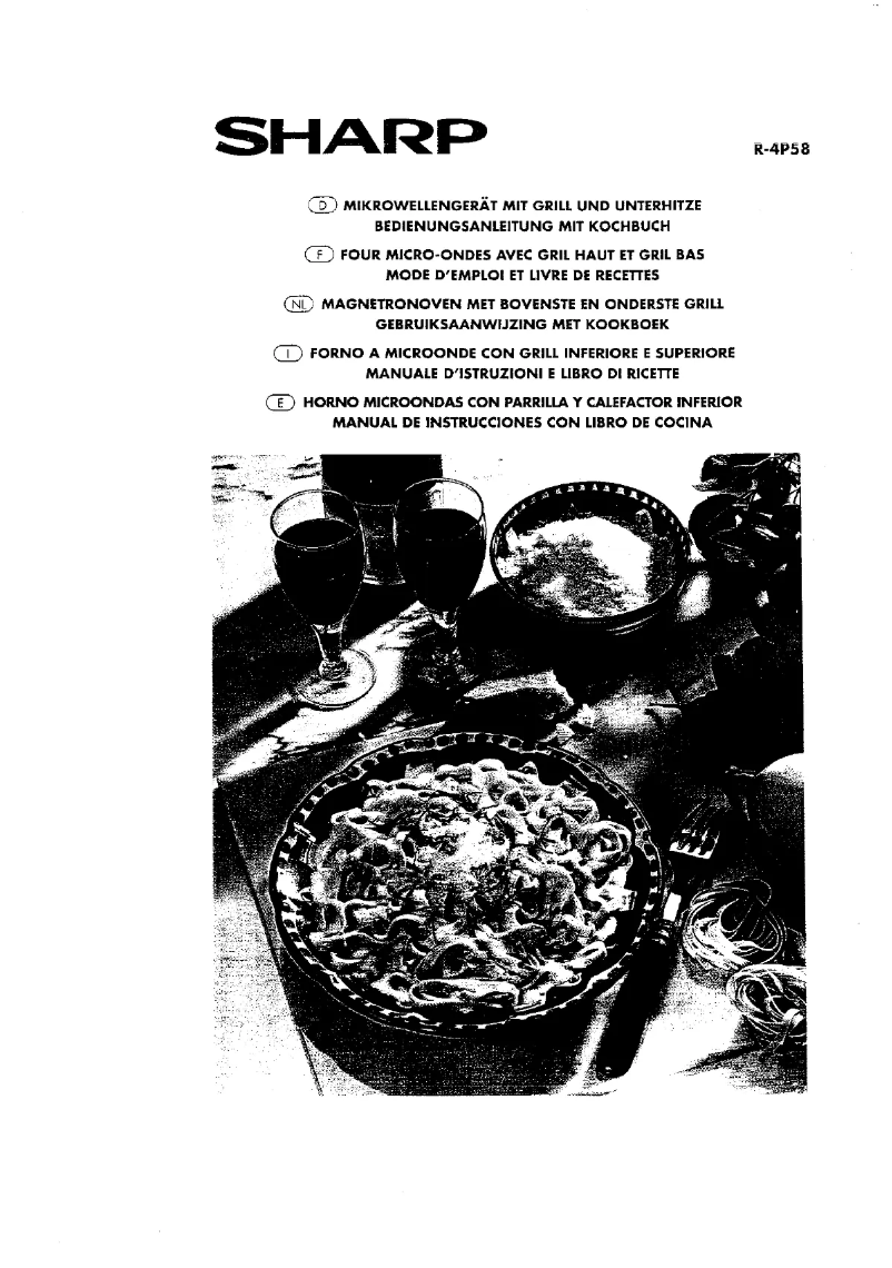 Imagen de la primera página del manual del dispositivo R-4P58