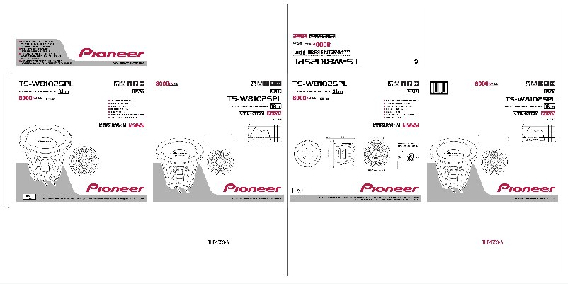 Página 1 del manual Manual de usuario Pioneer TS-W8102SPL
