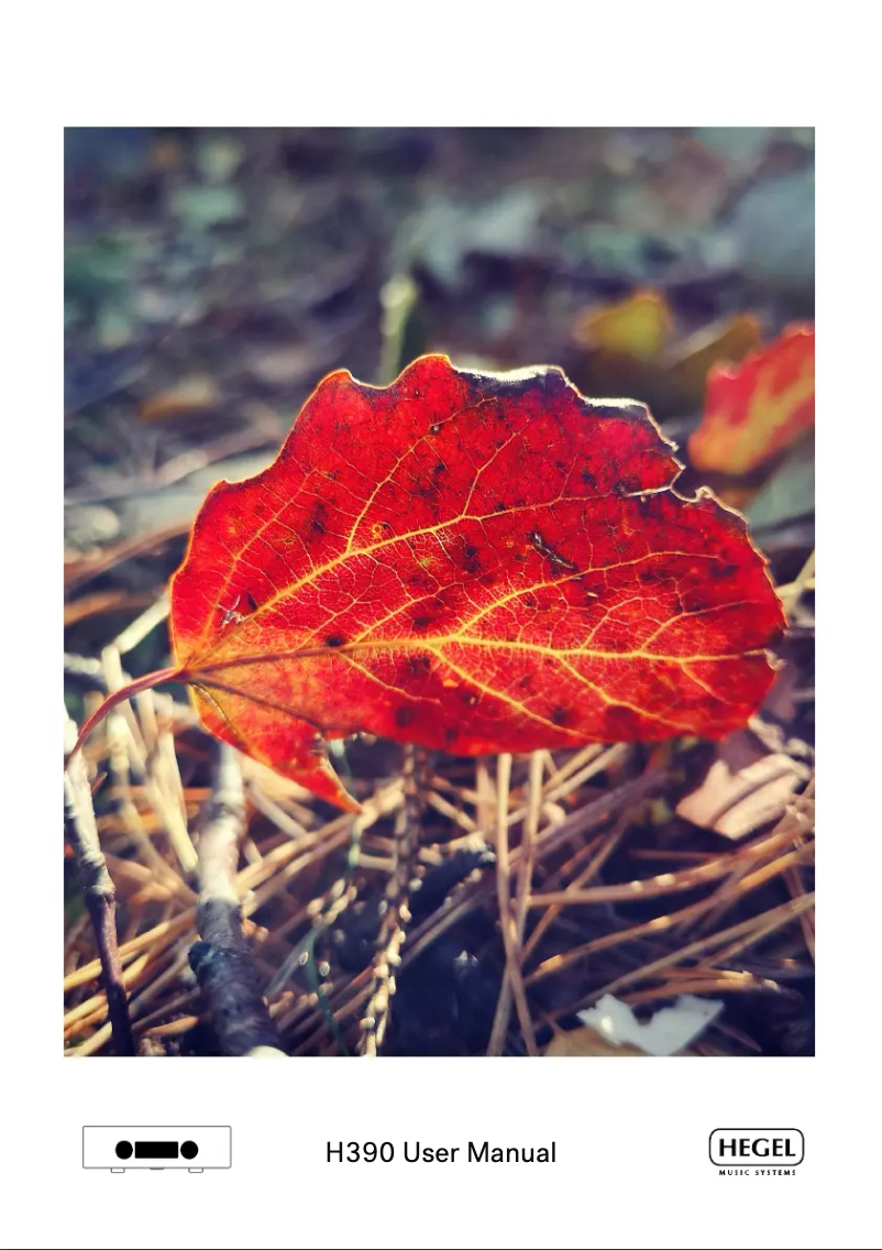 Página 1 del manual Manual de usuario Hegel H390