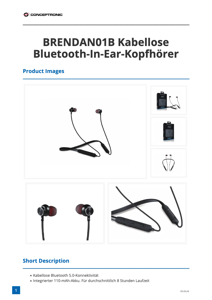 Imagen de la primera página del manual del dispositivo BRENDAN01B